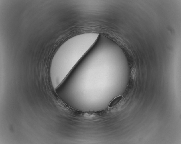 X0000111490570200907141106
