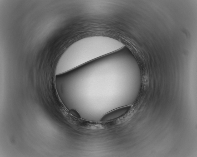 X0000111490572200907141106