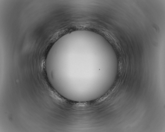 X0000111490574200907141106