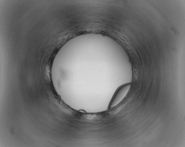 X0000111490575200907141106
