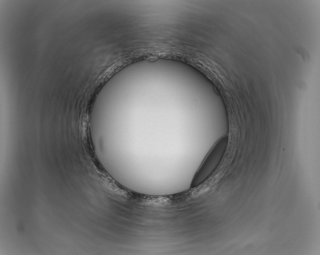 X0000111490576200907141106