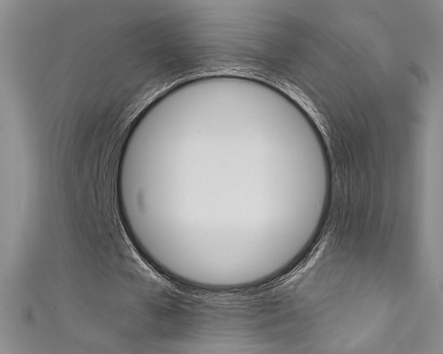 X0000111490577200907141105