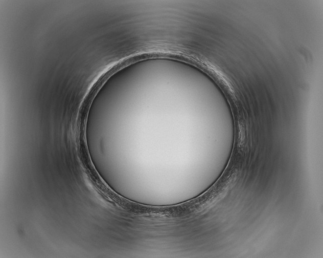 X0000111490580200907141105