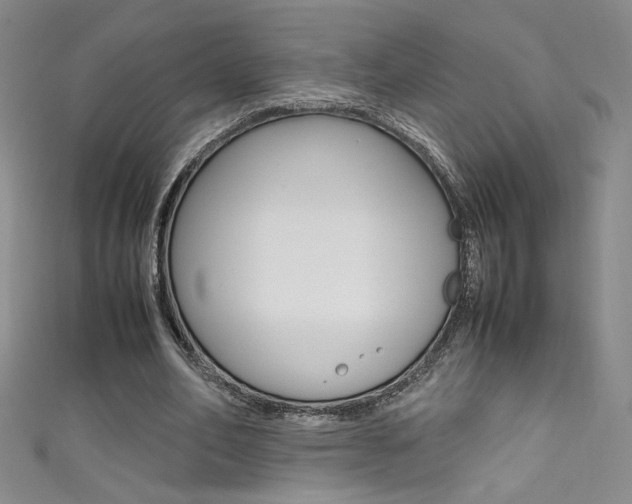 X0000111490582200907141105