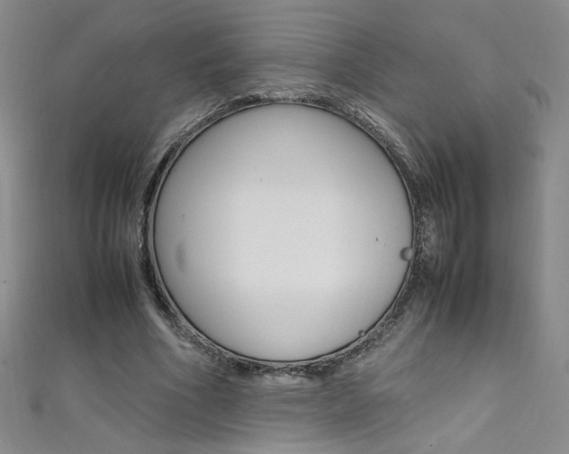 X0000111490586200907141105