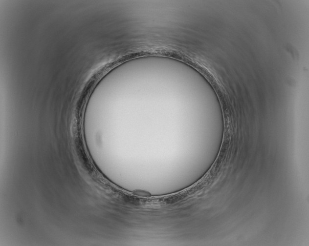 X0000111490587200907141105