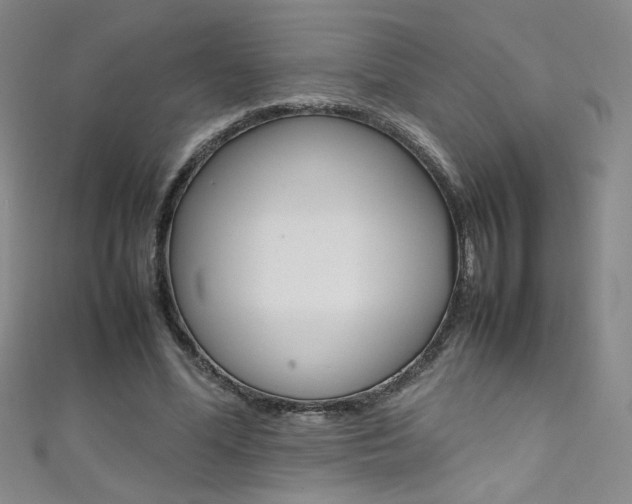 X0000111490588200907141105