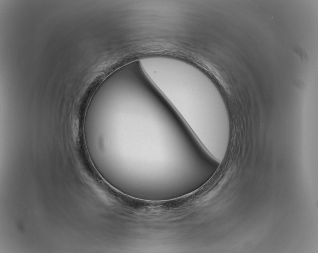 X0000111490589200907141105