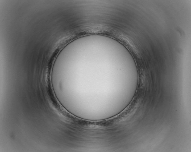 X0000111490590200907141105
