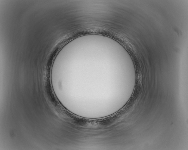 X0000111490591200907141105