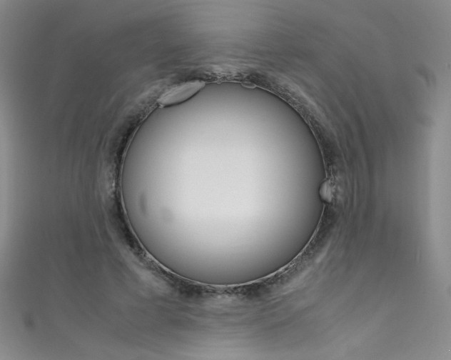 X0000111490593200907141105