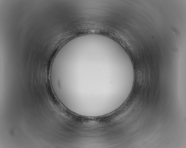 X0000111490594200907141105