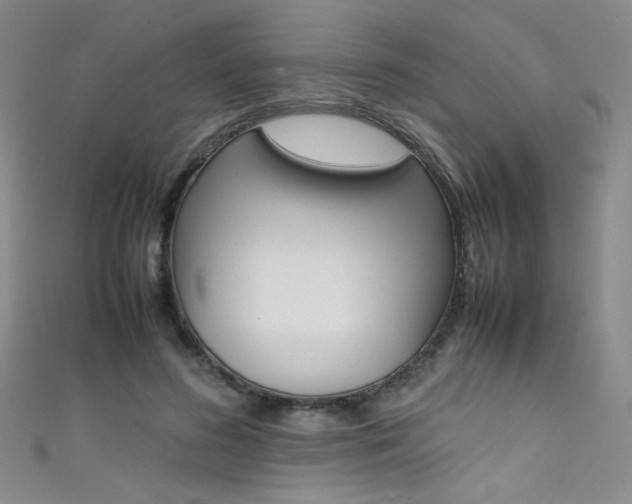 X0000111490596200907141105
