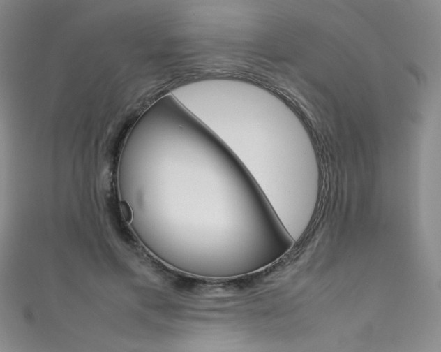 X0000111490597200907141105