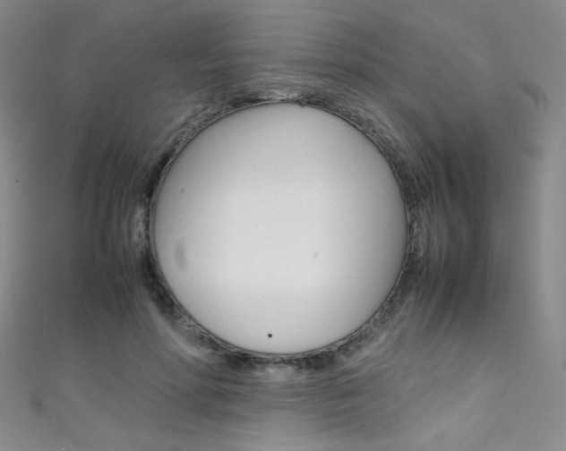 X0000111490598200907141105