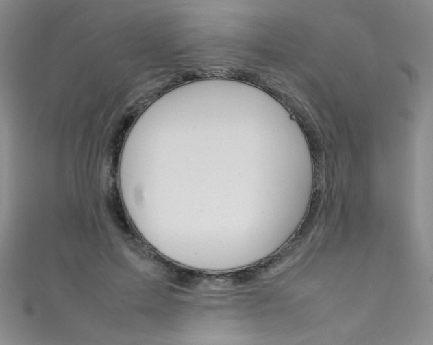X0000111490599200907141105