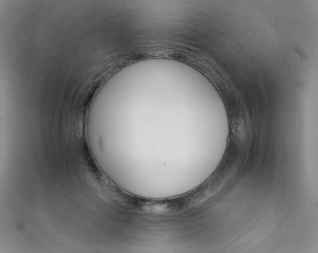 X0000111490602200907141105