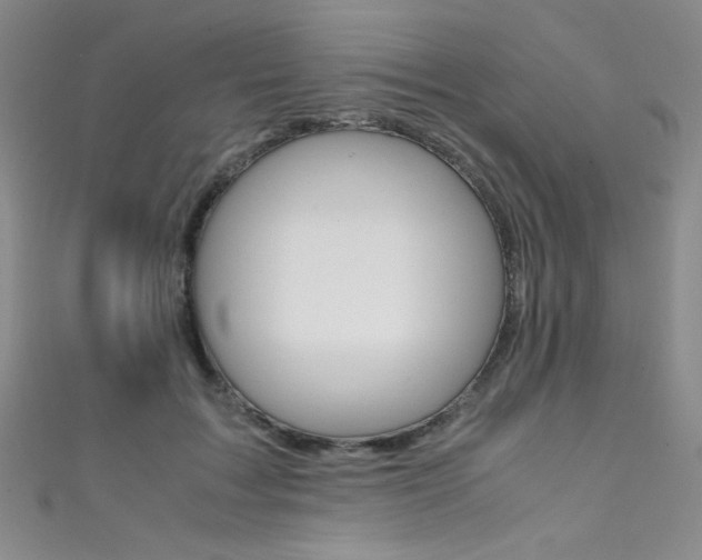 X0000111490603200907141105