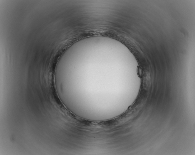 X0000111490608200907141105