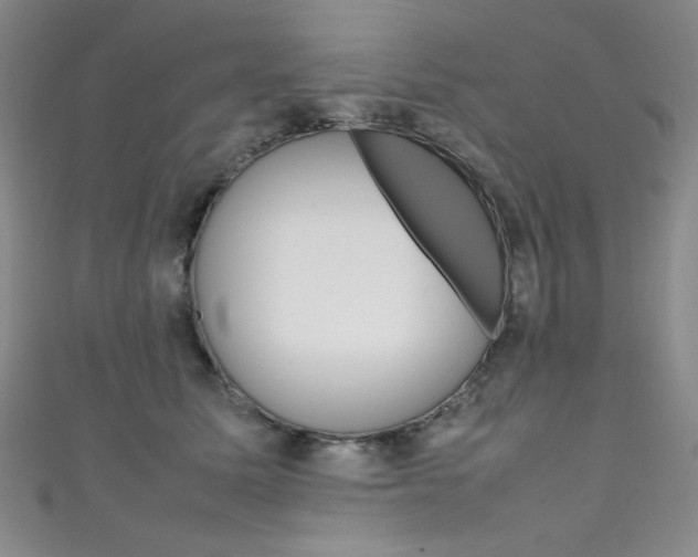 X0000111490611200907141105