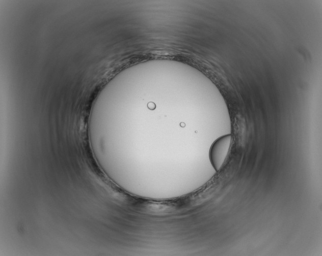X0000111490614200907141105