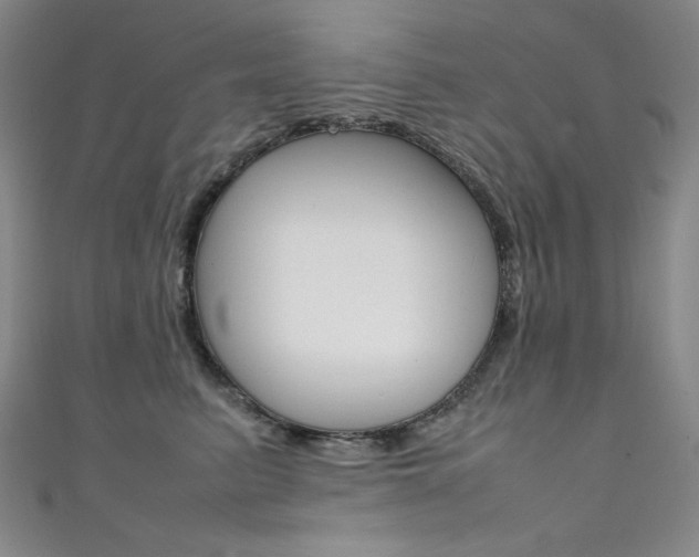 X0000111490615200907141105