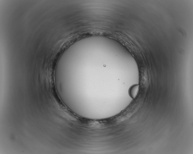 X0000111490616200907141105
