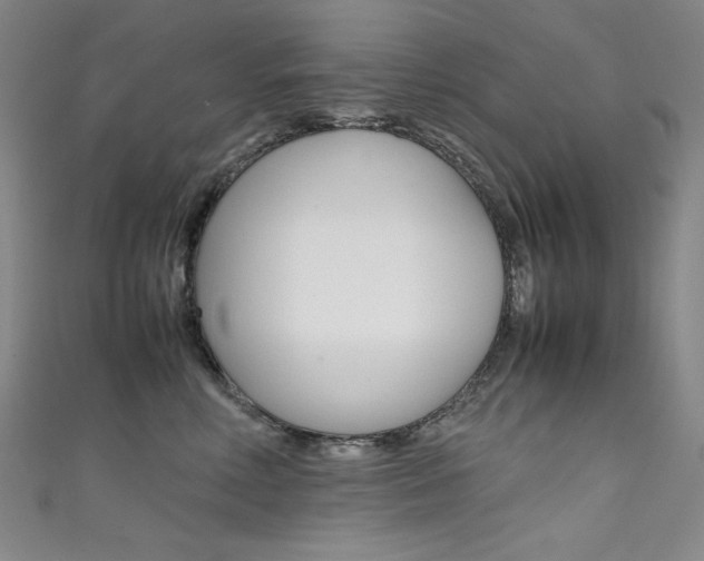 X0000111490618200907141105