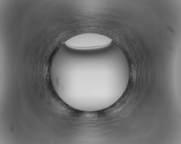 X0000111490619200907141105
