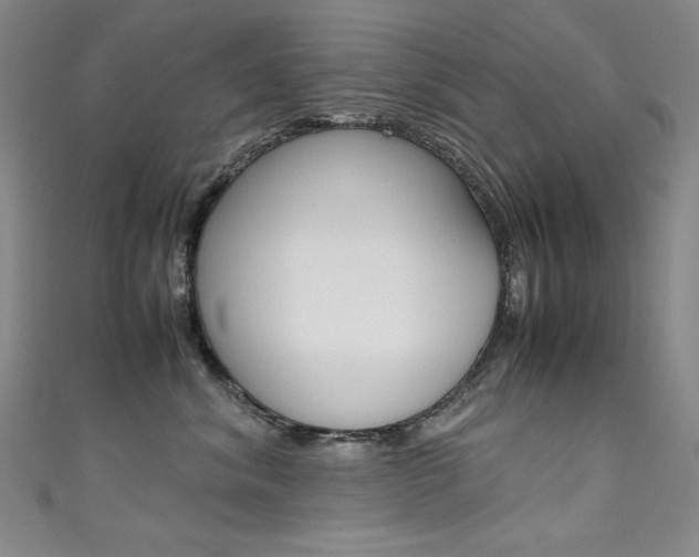 X0000111490620200907141105