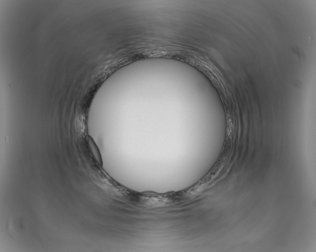 X0000111490621200907141105