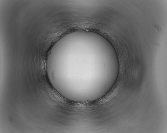 X0000111490624200907141104