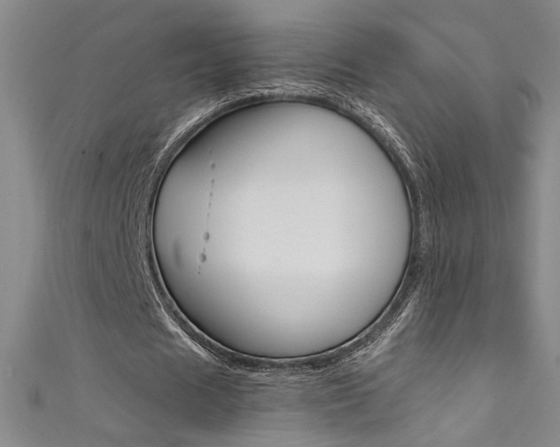 X0000111490625200907141104