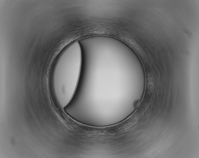 X0000111490626200907141104