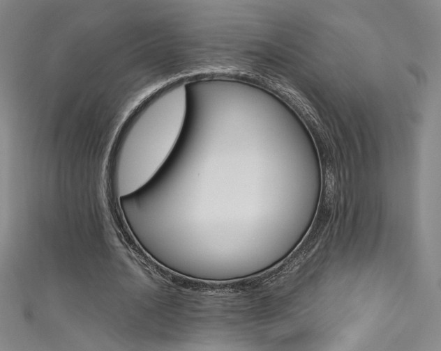 X0000111490628200907141104