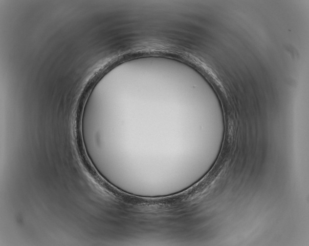X0000111490629200907141104