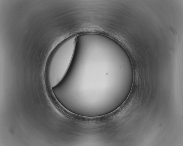 X0000111490630200907141104