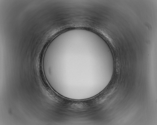 X0000111490631200907141104