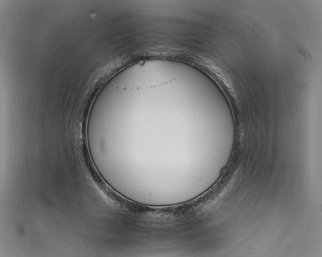 X0000111490633200907141104