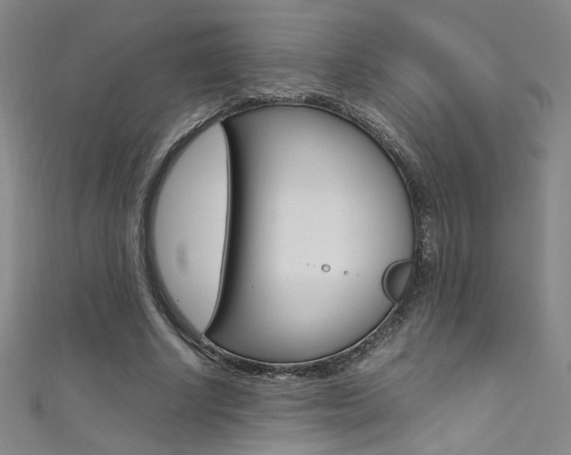 X0000111490634200907141104