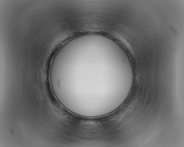 X0000111490635200907141104