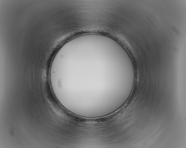 X0000111490636200907141104