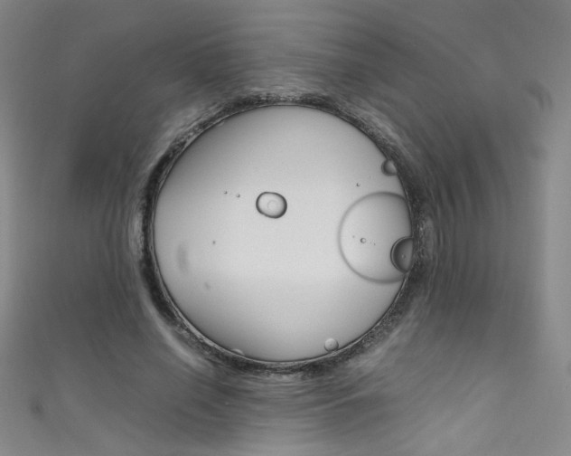 X0000111490638200907141104