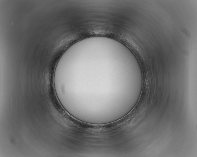X0000111490639200907141104