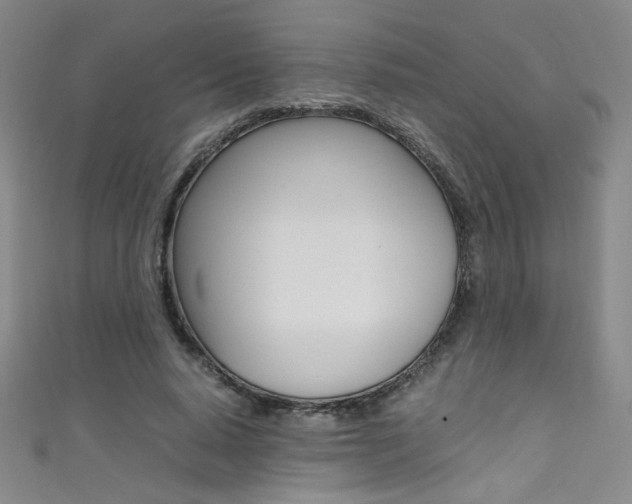 X0000111490640200907141104