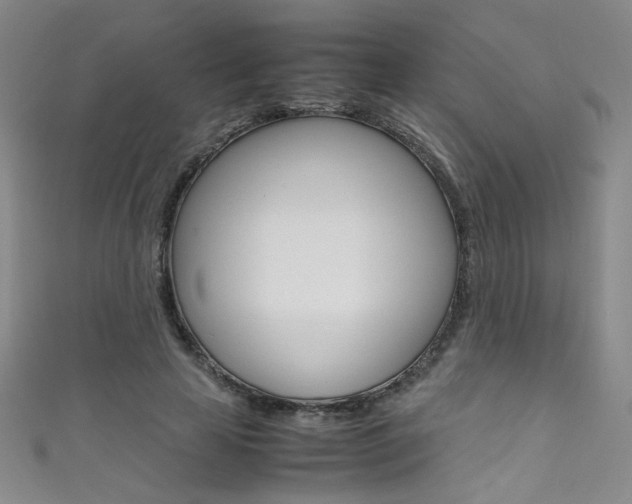 X0000111490641200907141104