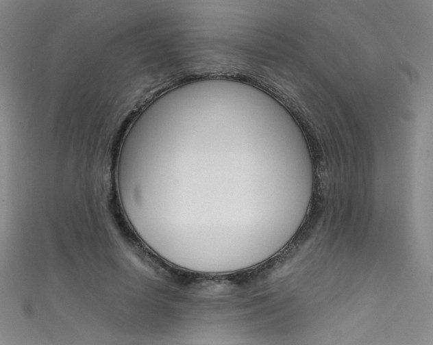 X0000111490642200907141104