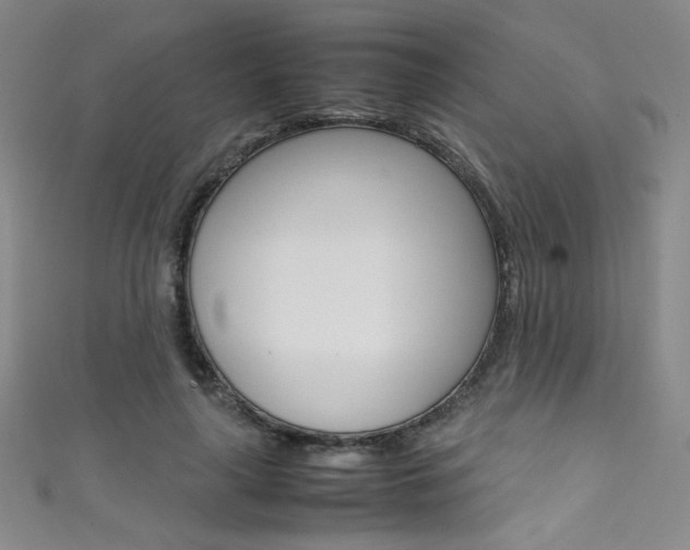 X0000111490643200907141104