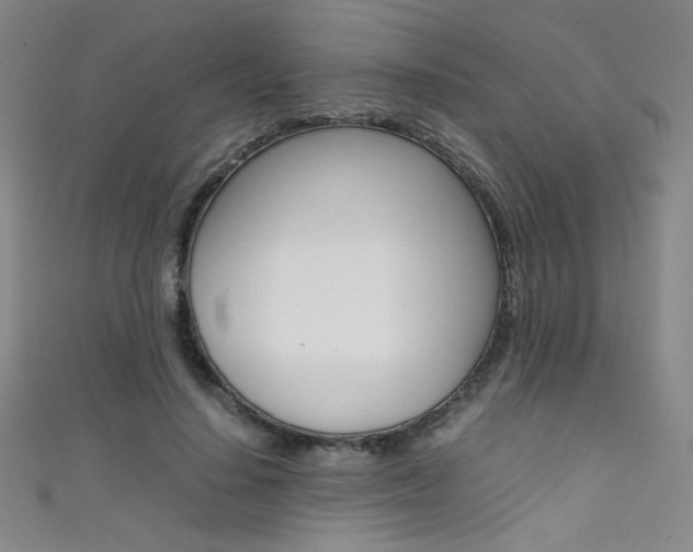 X0000111490644200907141104