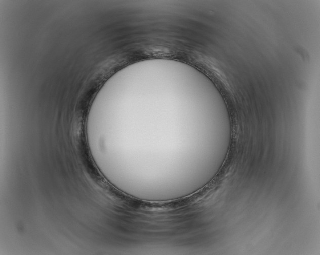 X0000111490645200907141104